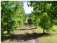 Taree NSW 2430