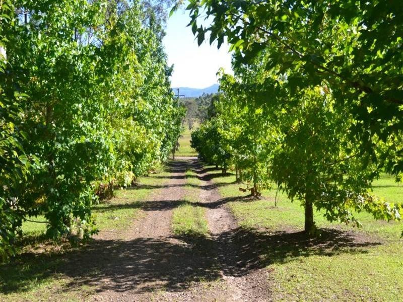 Taree NSW 2430