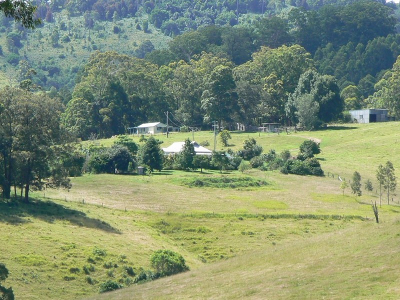 Strathcedar NSW 2429