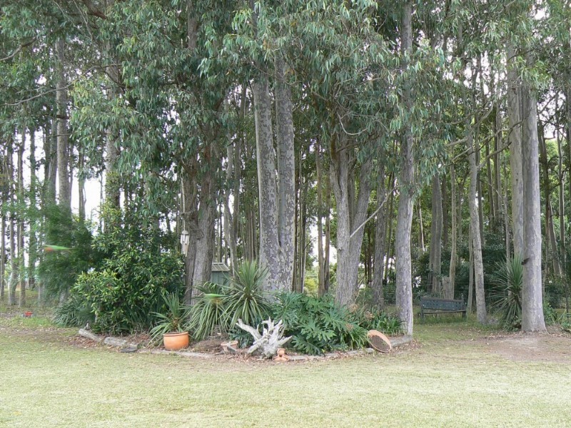 Taree NSW 2430