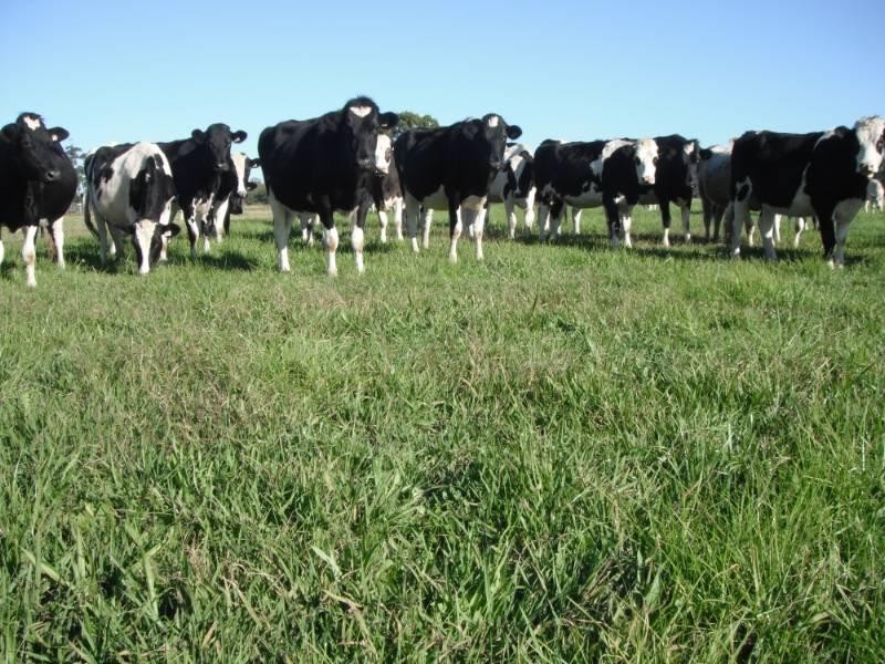 Cundletown NSW 2430