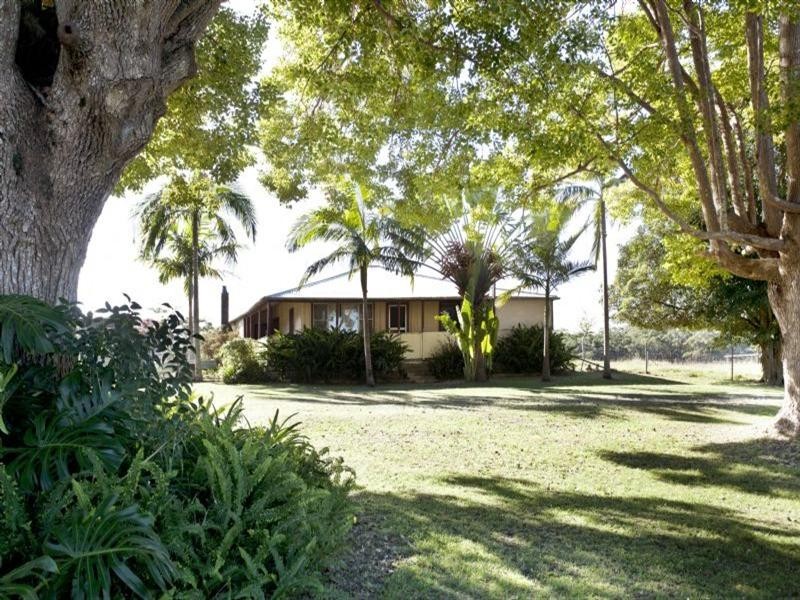 Mitchells Island NSW 2430