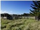 Mitchells Island NSW 2430