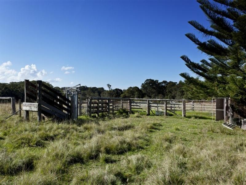 Mitchells Island NSW 2430