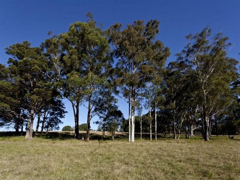Mitchells Island NSW 2430