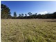 Mitchells Island NSW 2430