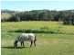 Bootawa NSW 2430