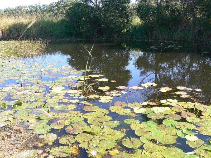 Bootawa NSW 2430