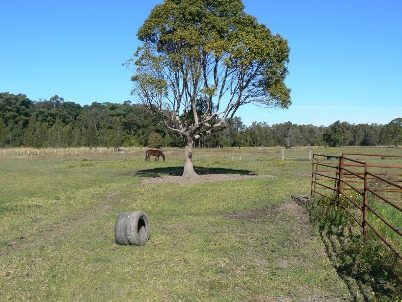 Mitchells Island NSW 2430