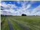 Dumaresq Island NSW 2430