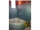 Wingham NSW 2429