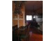 Wingham NSW 2429