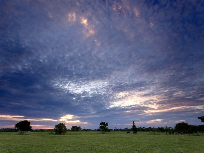 Oxley Island NSW 2430