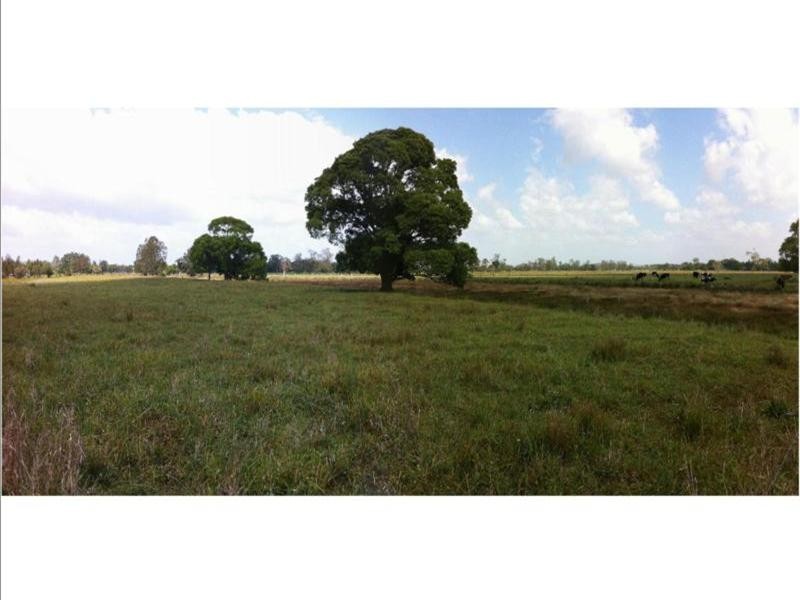 Jones Island NSW 2430