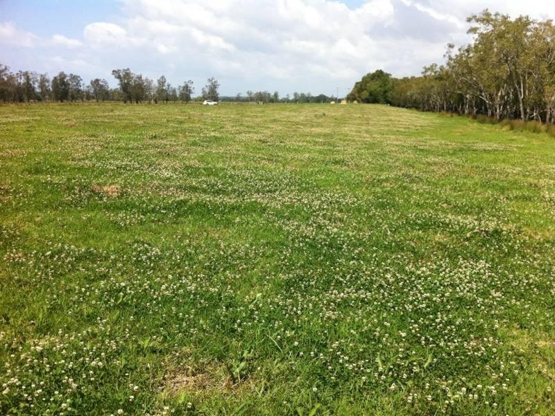 Jones Island NSW 2430