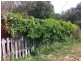 Jones Island NSW 2430
