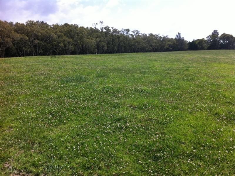 Jones Island NSW 2430