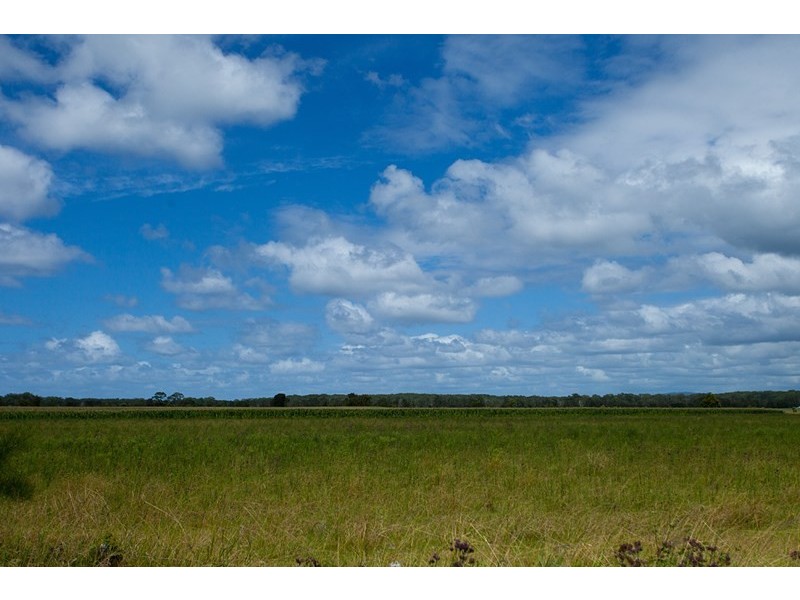 319 Manning Point Road, Oxley Island NSW 2430