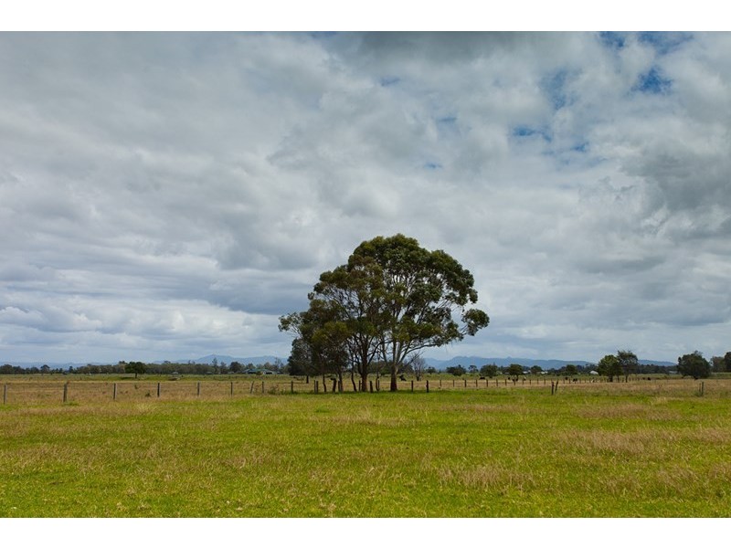 319 Manning Point Road, Oxley Island NSW 2430