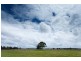 319 Manning Point Road, Oxley Island NSW 2430