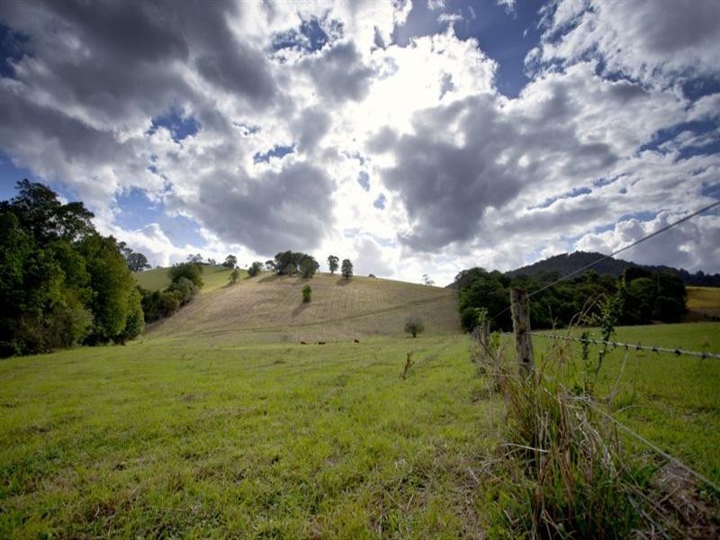 Wingham NSW 2429