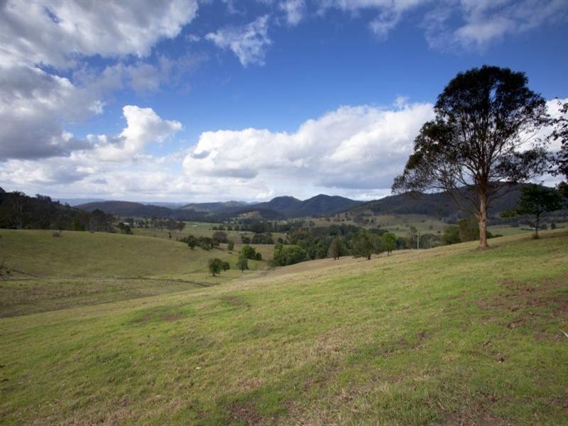 Wingham NSW 2429