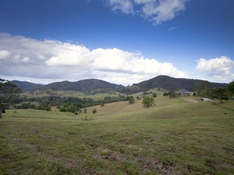 Wingham NSW 2429