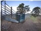 Wingham NSW 2429