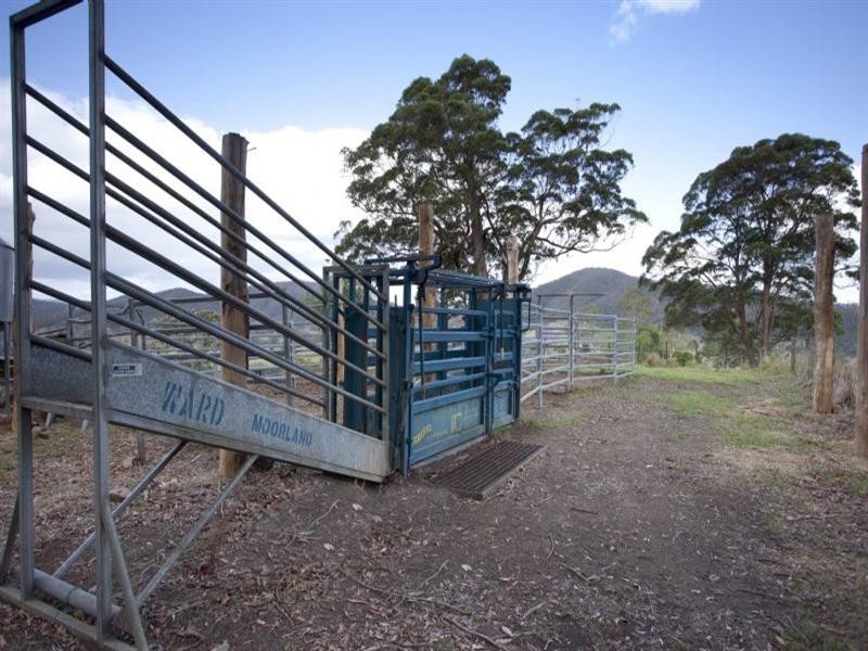 Wingham NSW 2429