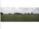 17938 Pacific Highway, Jones Island NSW 2430