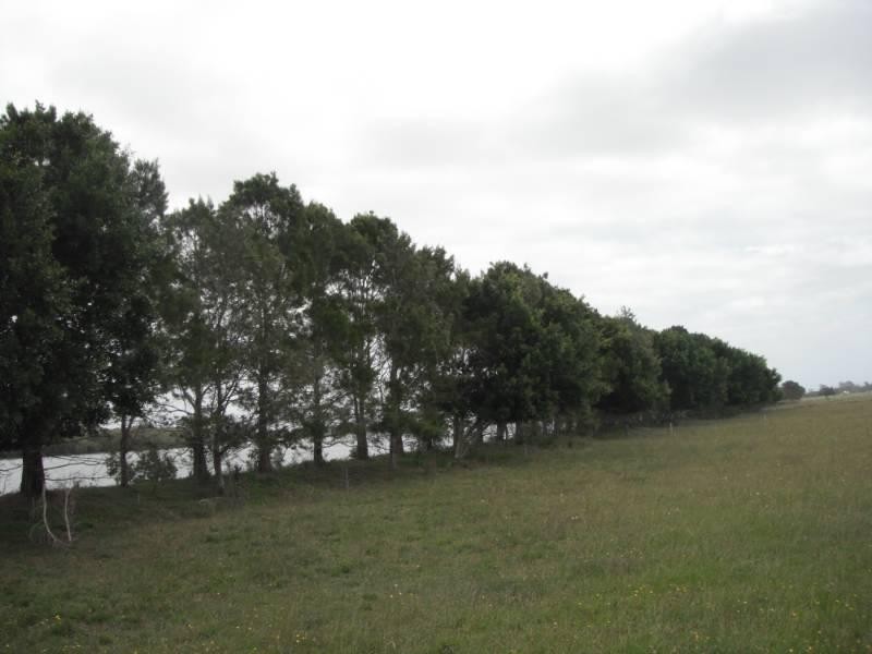 17938 Pacific Highway, Jones Island NSW 2430