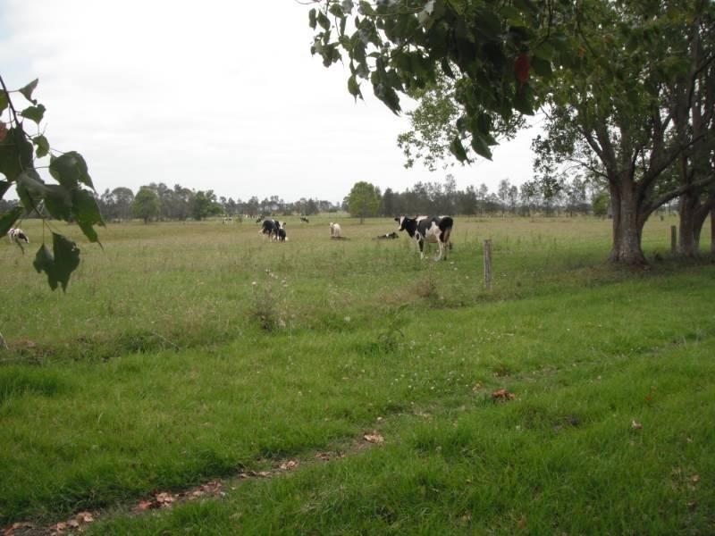 17938 Pacific Highway, Jones Island NSW 2430