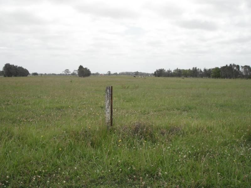 17938 Pacific Highway, Jones Island NSW 2430