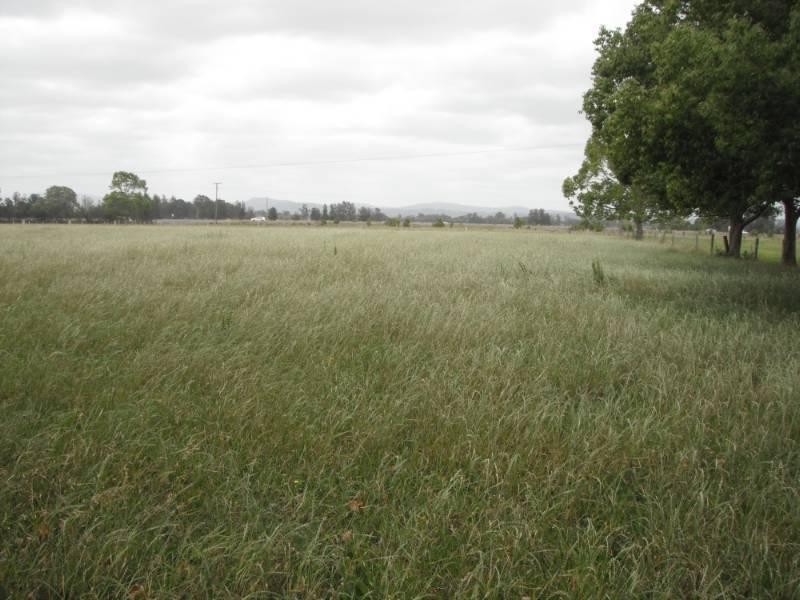 17938 Pacific Highway, Jones Island NSW 2430