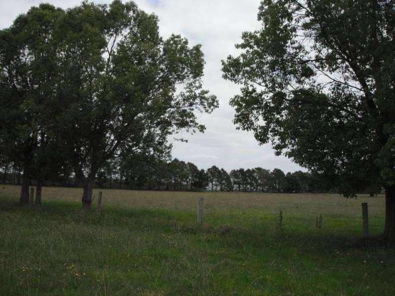 17938 Pacific Highway, Jones Island NSW 2430