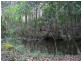 Marlee NSW 2429