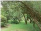 Marlee NSW 2429
