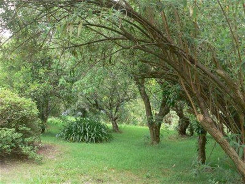 Marlee NSW 2429