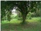 Marlee NSW 2429