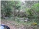 Marlee NSW 2429