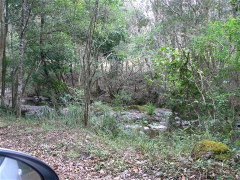 Marlee NSW 2429