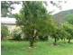 Marlee NSW 2429