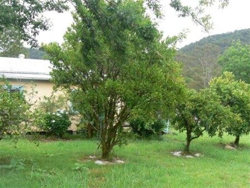 Marlee NSW 2429