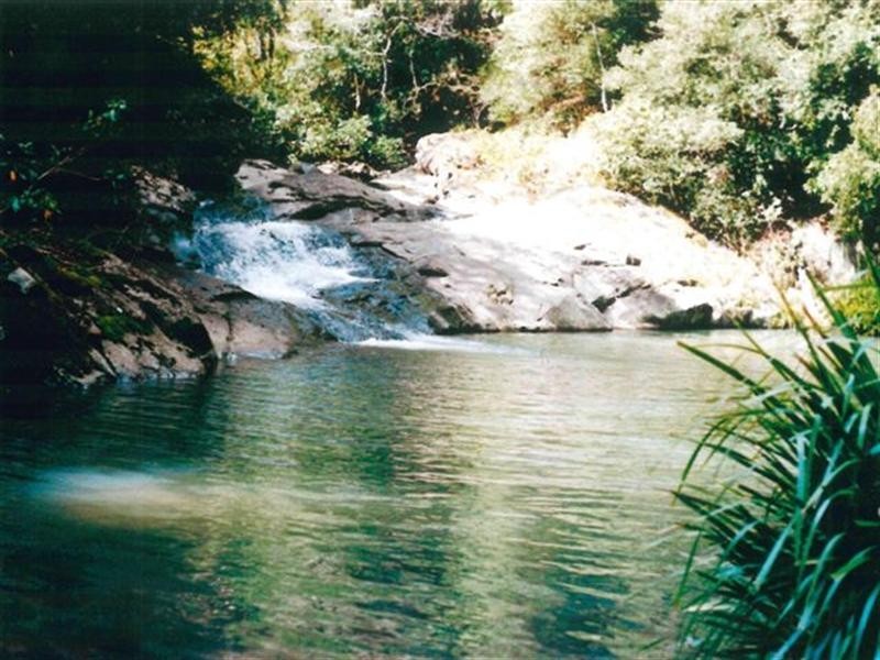 729 Kippax Road, Kippaxs NSW 2429