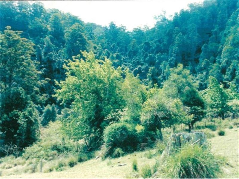 729 Kippax Road, Kippaxs NSW 2429