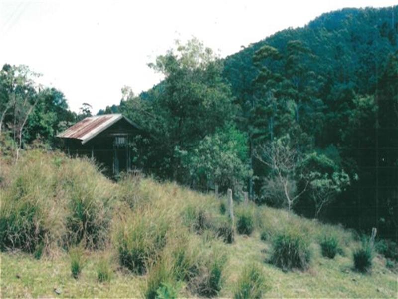 729 Kippax Road, Kippaxs NSW 2429