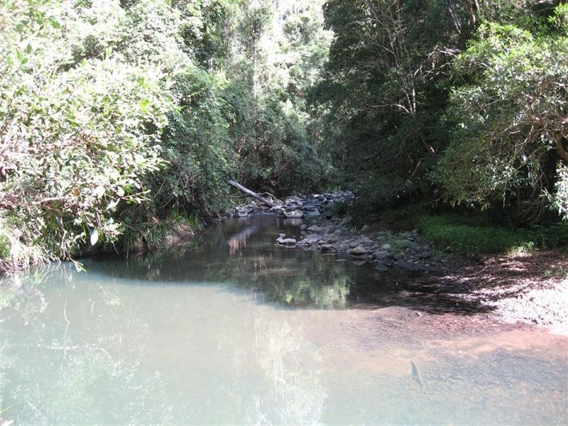 729 Kippax Road, Kippaxs NSW 2429