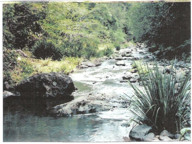 729 Kippax Road, Kippaxs NSW 2429