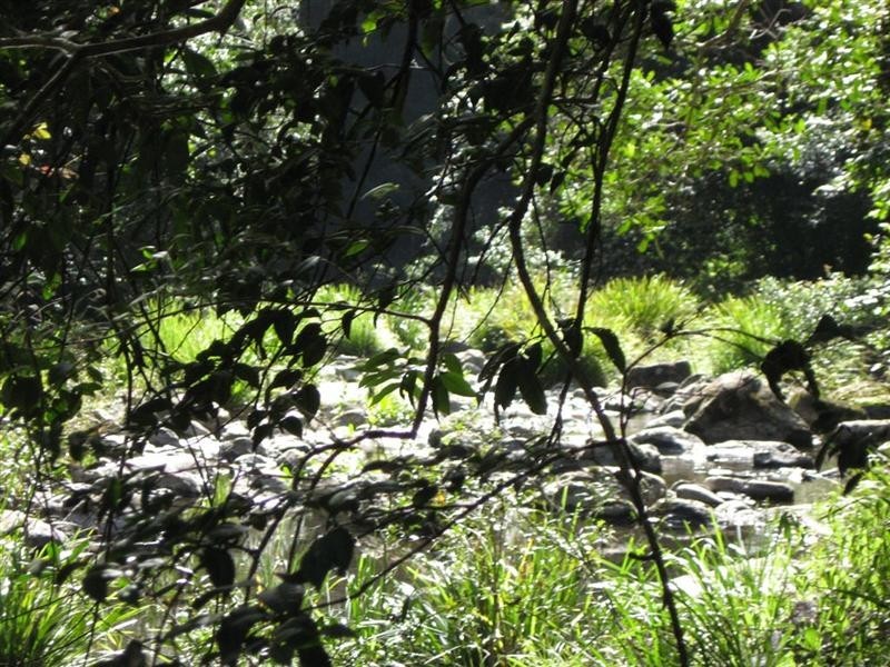 729 Kippax Road, Kippaxs NSW 2429