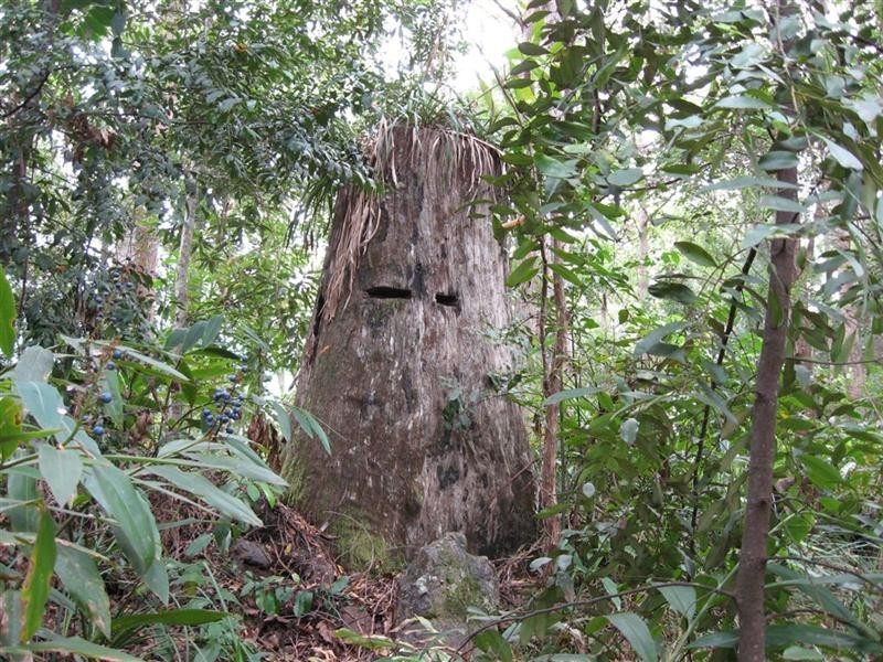 729 Kippax Road, Kippaxs NSW 2429